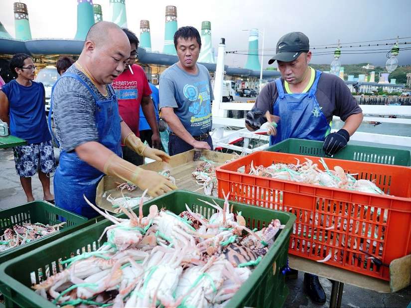 週末北海岸風箏節登場 富基魚市品蟹消費滿額送好禮