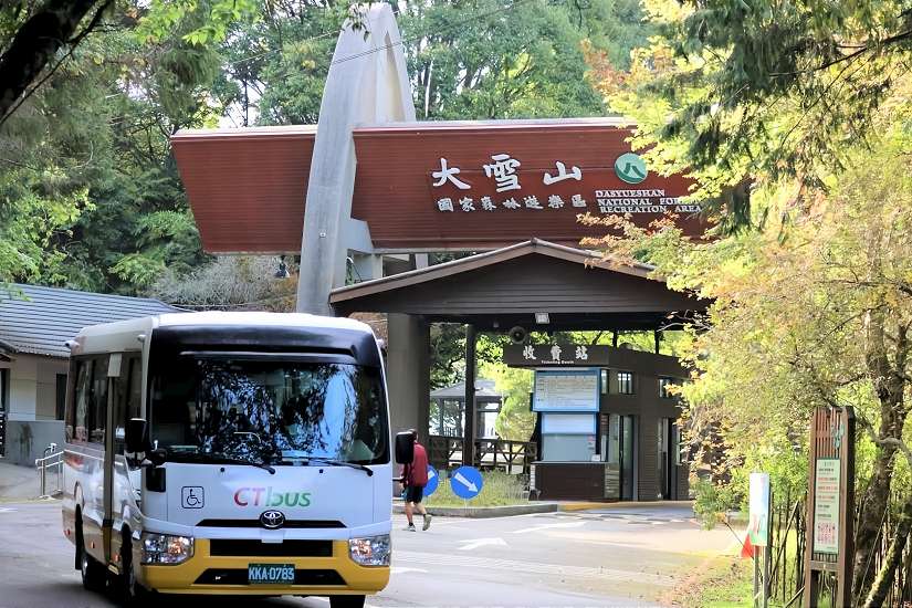 漫步雲霧森林搭公車就行!春夏限定「台中Go大雪山螢火蟲季」4/20開跑