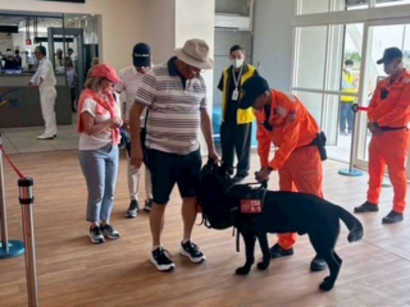 「鐵諾」犬的最後出勤：偵搜犬堅守護國門，圓滿完成最 後任務！