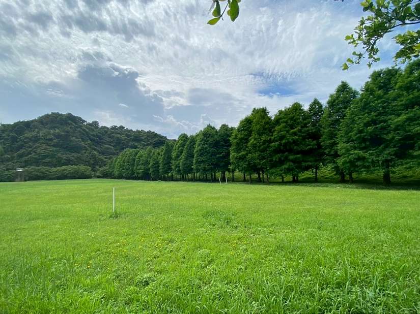 打造綠肺不是夢!基隆補植、認養雙計畫開跑 公私齊心造宜居城市