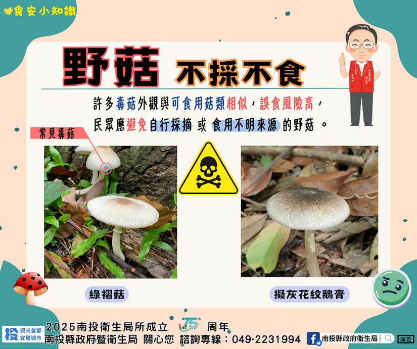 野生菇類勿亂採亂吃 南投縣府衛生局籲民眾留意食安風險