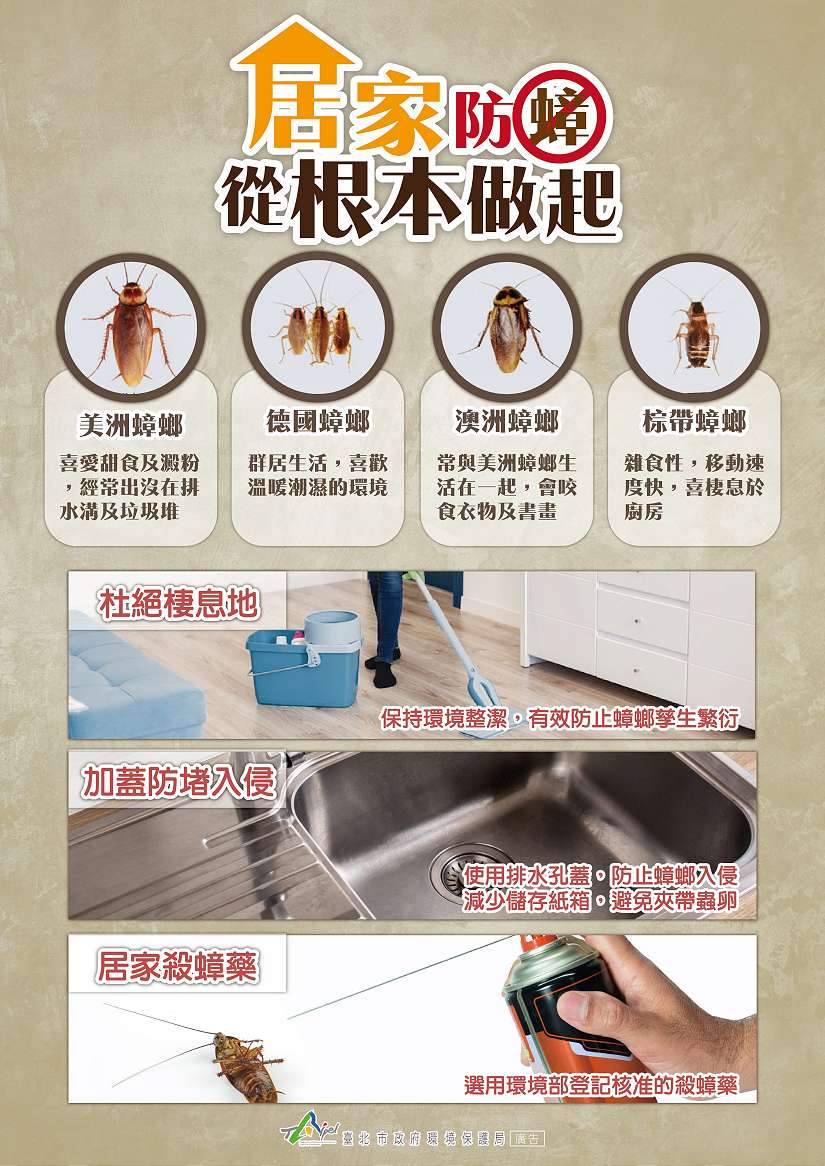 別讓「小強」太猖狂!防蟑三寶守護居家健康