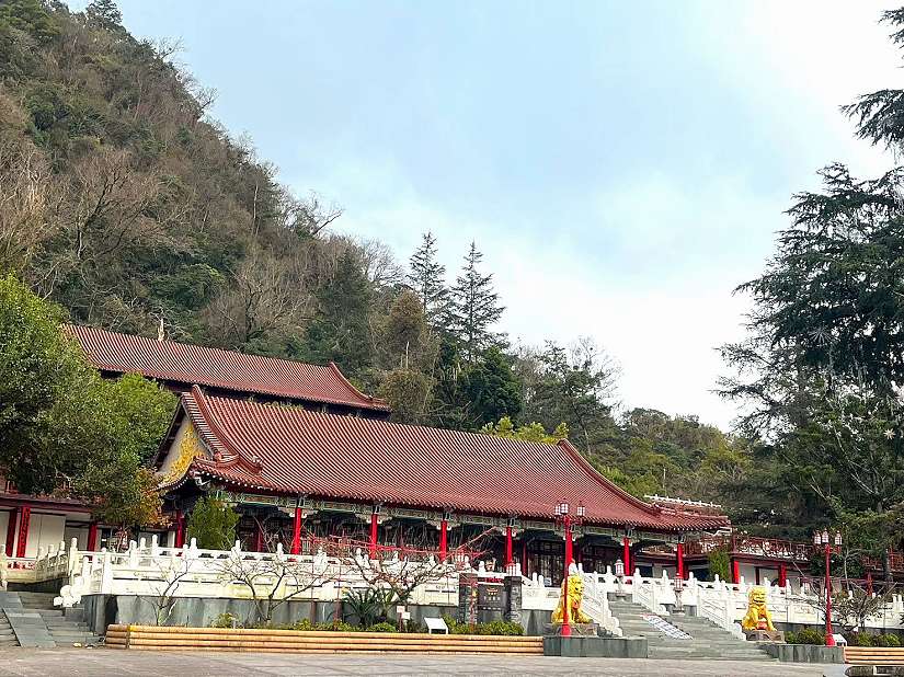 遊梨山避暑幸福巴士帶路!中市交通局推高海拔觀光包車帶你吃桃品茶