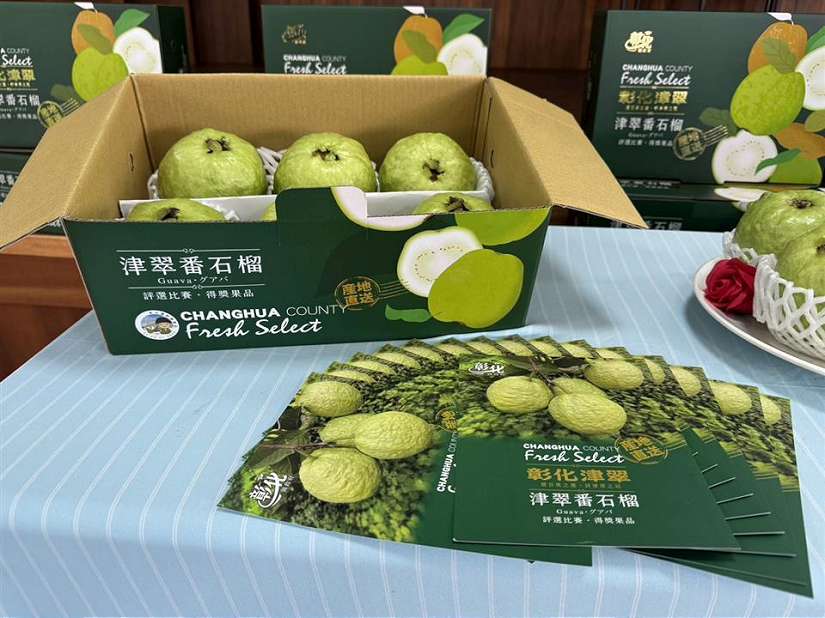 彰化縣優質「津翠」番石榴正式亮相 極端氣候影響後品質回穩 逐步打響品牌知名度