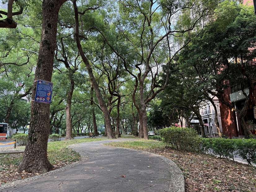 台北市仁愛路上「天然冷氣房」降溫3度!! 