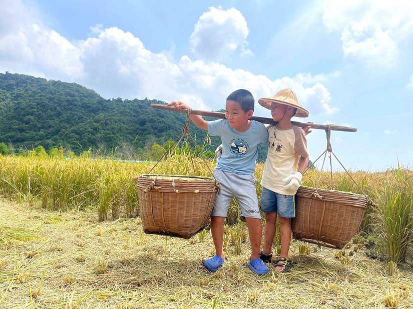 「夏日樂學」多元亮點教學 打造學習無限可能
