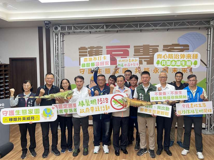 屏東縣啟動「護豆專案」 加強移除綠鬣蜥