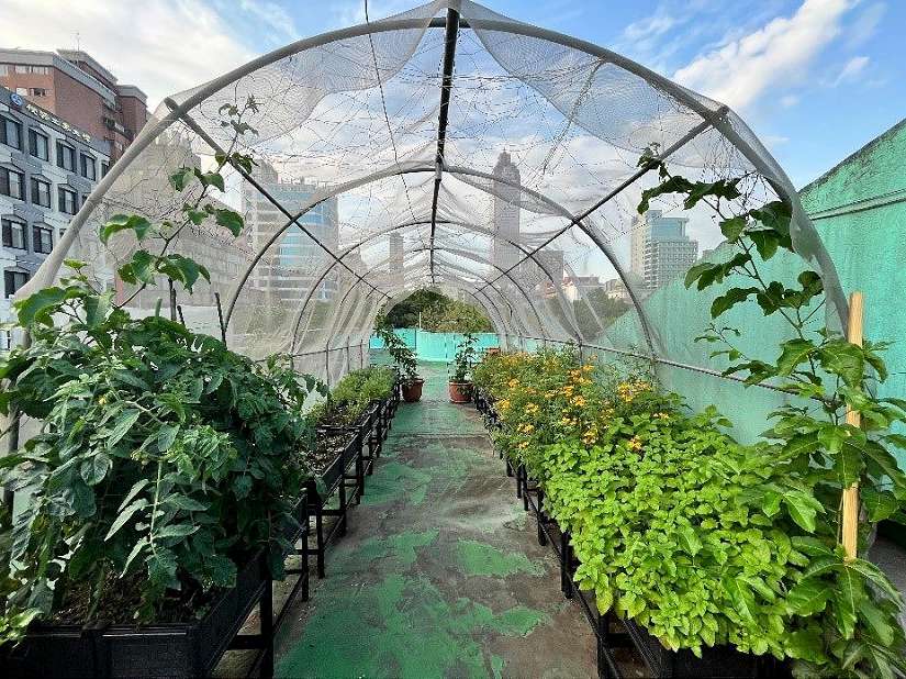 減碳生力軍來囉!  土壤改良劑10/13開放申請