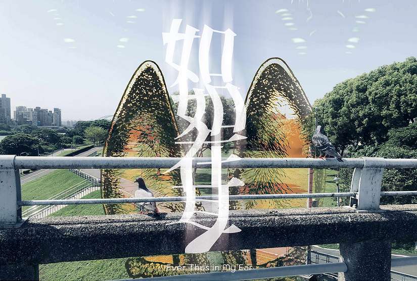 2025臺北白晝之夜掀熱潮 「如如在耳」與「夢的蟲洞」開放立即秒殺 加開午夜入坑時段