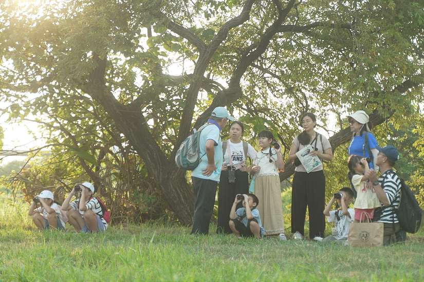 濕地變身自然美術館！秋日最夯打卡點就在「新北濕地藝術季」
