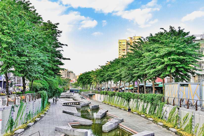 新莊區中港大排清圳趣活動 11/14前報名額滿截止