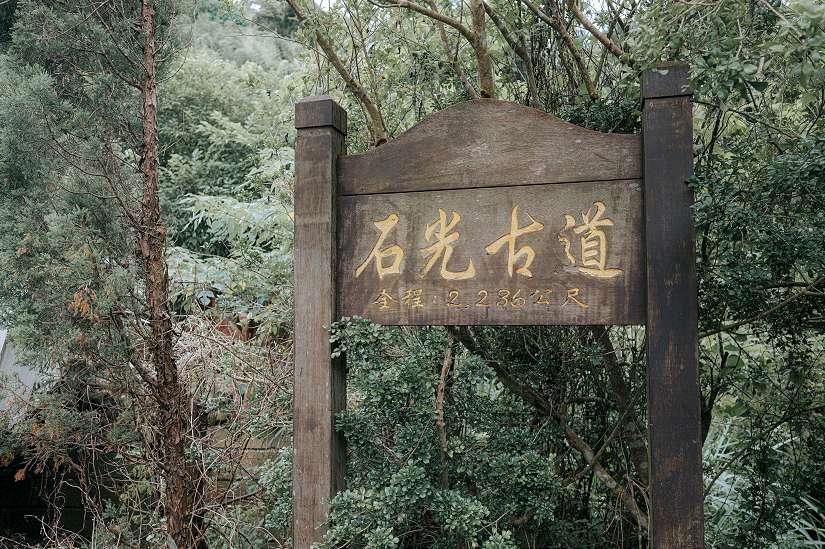 「森遊竹縣」完登人數創四年新高　近1.9萬人次共襄盛舉