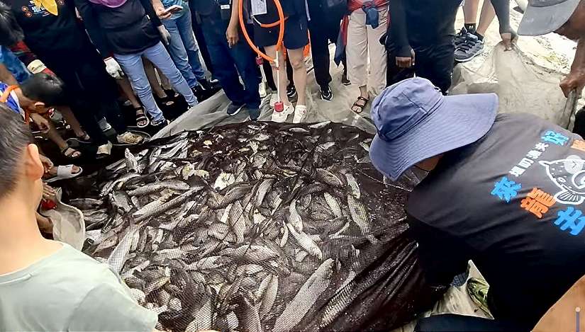 佳冬返鄉青年以「牽罟」文化展現客家精神 屏縣推動客家青年基地 打造文化創生新場域