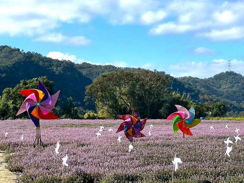 冬季限定農遊花季盛典 關西仙草節今浪漫登場