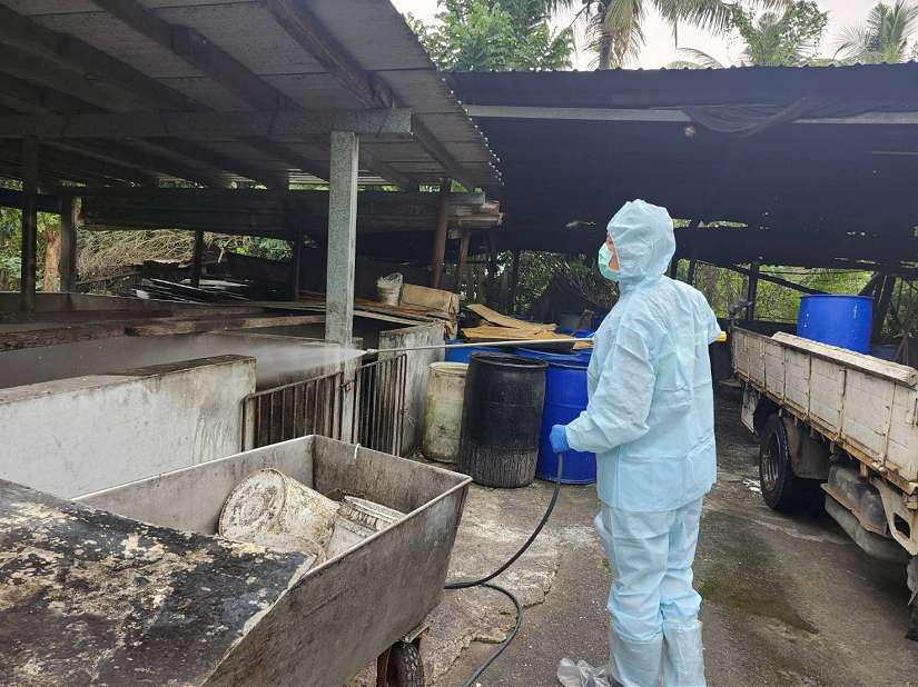 屏東縣再查獲養豬場餵飼廚餘 依法裁罰80萬元 即刻封鎖場內豬隻  