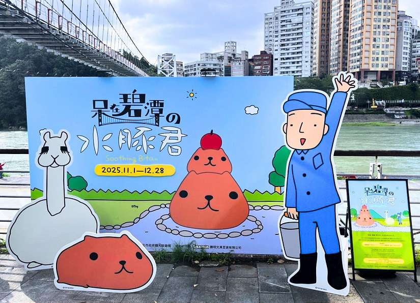 「呆在碧潭の水豚君」陪你過冬 把握最後療癒時光