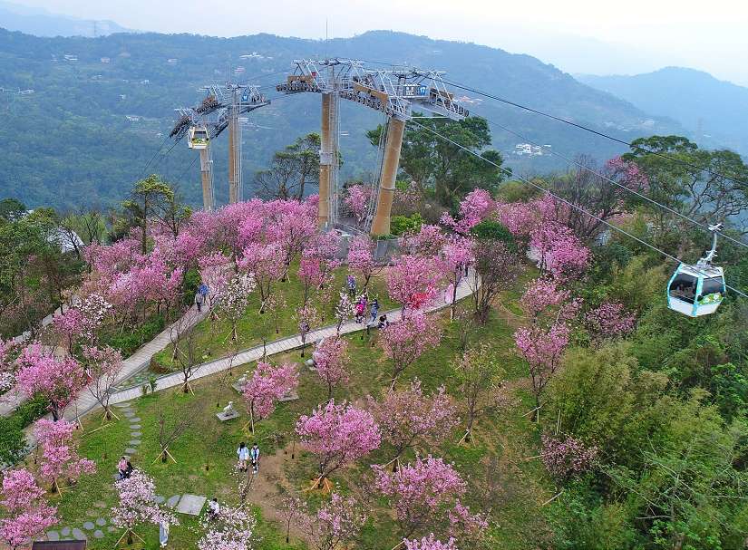 臺北山林「森」活圈再進化！ 防災、生態、景觀三箭齊發