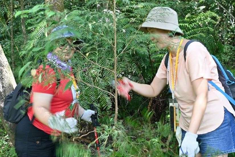 大崙頭山體驗熱鬧落幕　市民：第一次離森林這麼近