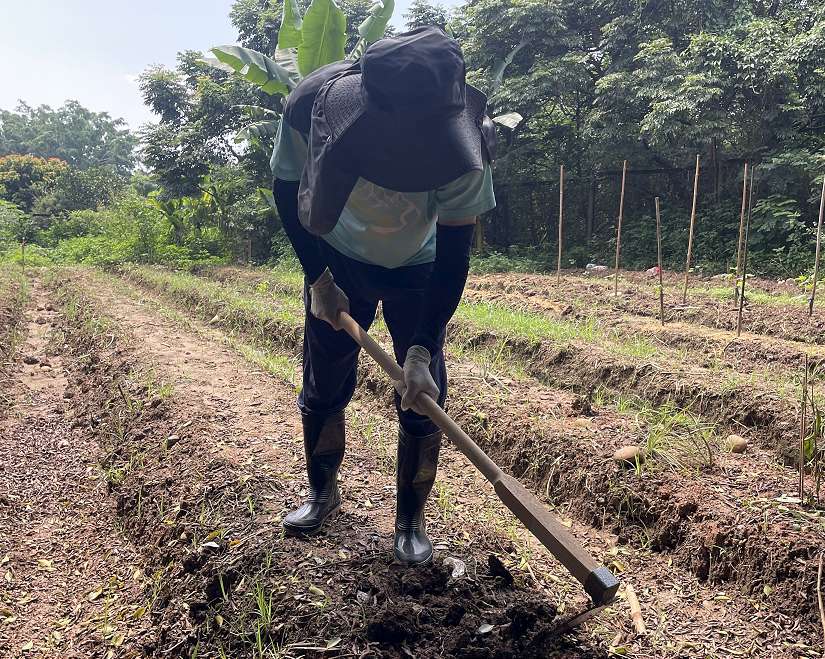 免費當5個月都市農夫！台中「環保農園」開放抽籤　30個名額等你來體驗