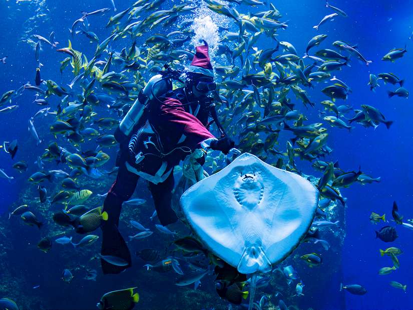 台中Hi8全城開趴　年底旅遊熱潮再升溫