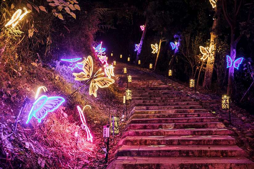 屏東高樹「奇幻大津」2/5開幕　雙金男星劉冠廷回鄉共襄盛舉