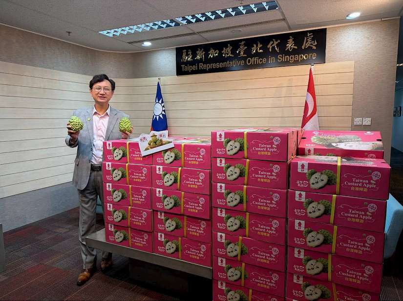 台東深耕星國3年見效！鳳梨釋迦銷售突破1.6萬公斤