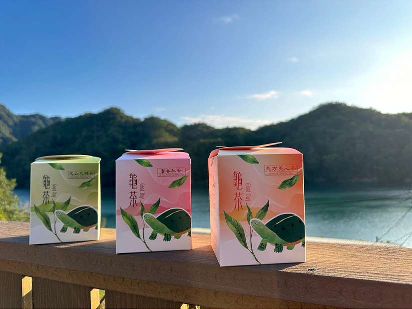 「馬」上出發！石碇淡蘭古道健行、翡翠水庫生態之旅