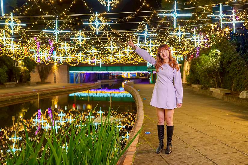 7米高星耀之樹閃耀新莊夜空 中港光雕3/6正式登場