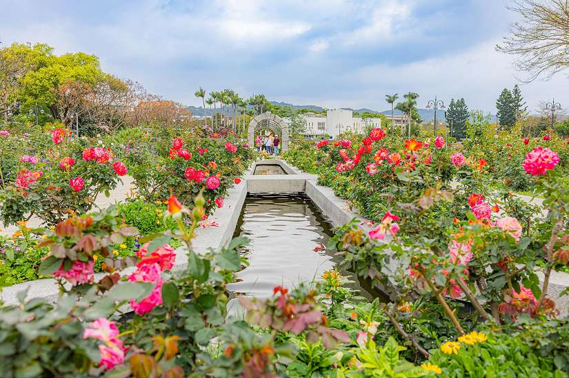 玫好時光在這裡! 臺北玫瑰展獻上賞玫大補帖