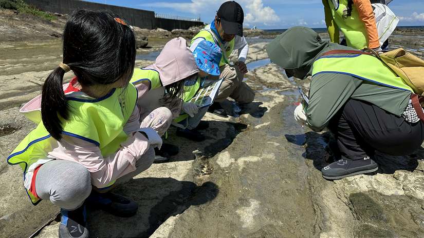 好評回響不斷！海科館「里海學堂親子營」今年加碼登場 走進潮間帶當公民科學家