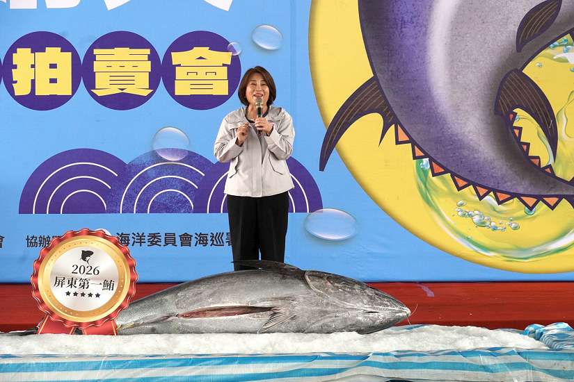 屏東第一鮪拍賣總價201萬4000元 為屏東黑鮪魚季揭開序幕