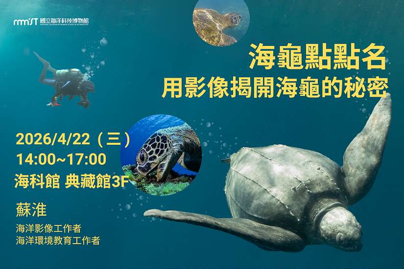 結合影像認識海龜 探索海科望海巷生態地圖了解海洋生態
