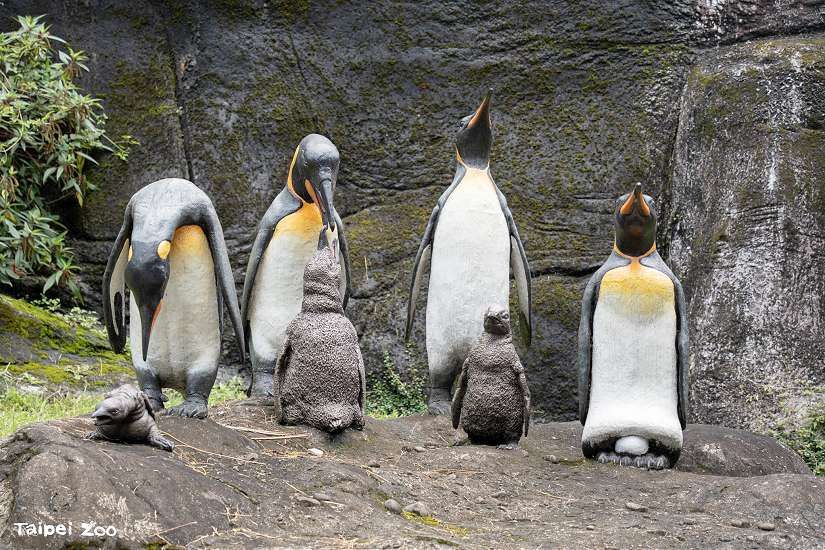 溫馨五月天 臺北動物園母親節尋找親子雕塑一起「愛的三連拍」
