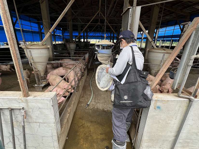 嘉義縣出現日本腦炎確定病例，衛生局籲幼兒按時接種疫苗